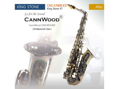 CannWood Saxophone_ _ Professional Class _ CAS_5700B ICE_